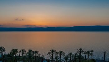 לאונרדו טבריה