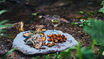 מלון הגושרים מלון בטבע