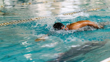 מלון הגושרים מלון בטבע