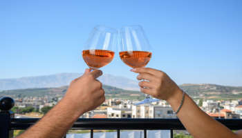 מלון אוקס - Oak´s ברמת הגולן