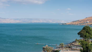 לאונרדו פלאזה טבריה-פתאל