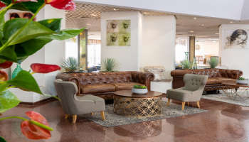 לאונרדו פלאזה טבריה-פתאל