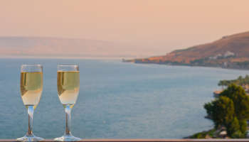 לאונרדו פלאזה טבריה-פתאל