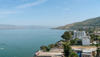 לאונרדו פלאזה טבריה-פתאל