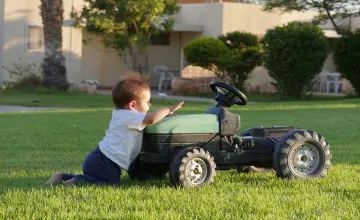 Discover the Serene Oasis of Kibbutz Eilot: A Perfect Retreat Near Eilat