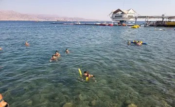 Diving & Snorkeling in Eilat