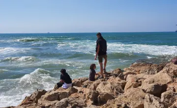 The Sharks of Hadera: A Rare Sight in Israel's Coastal City