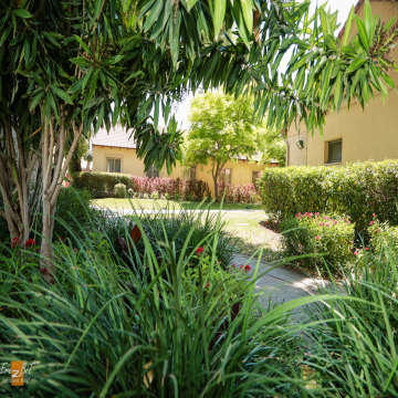 אוהלו - תמונה 8