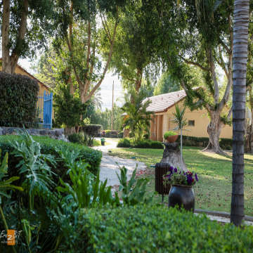 אוהלו - תמונה 4