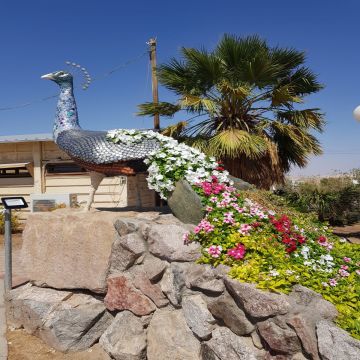 קיבוץ אילות - תמונה 6