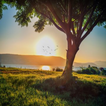 כפר הנופש  דריה - תמונה 2