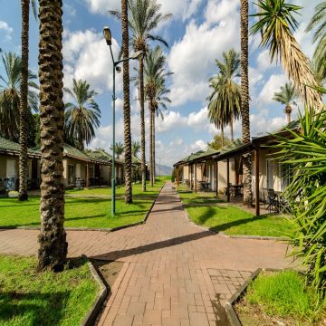 כפר הנופש  דריה - תמונה 3