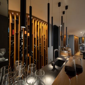 סופיה כנרת - תמונה 8