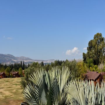 וילג' מלון מטיילים על הירדן - תמונה 2