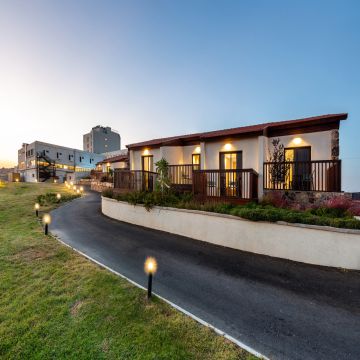 רוקסון דזרט ערד - חדש - תמונה 3