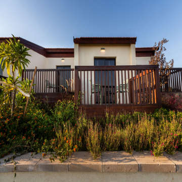 רוקסון דזרט ערד - חדש - תמונה 9