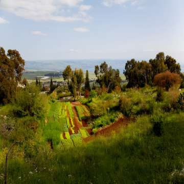 ישרוטל מצפה הימים - תמונה 5