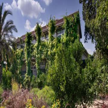 מלון ניאה - תמונה 1