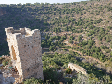 The Golan Heights