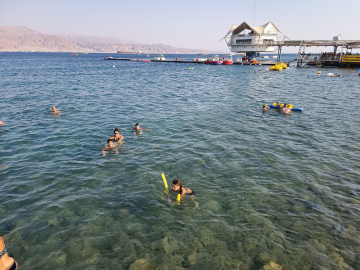 Diving & Snorkeling in Eilat