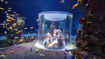 Explore the Wonders of Marine Life in Israel at the Israel Aquarium, Jerusalem