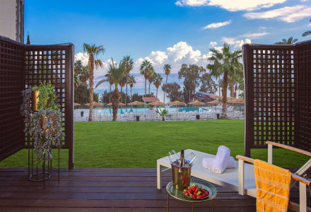 אקזקיוטיב גן