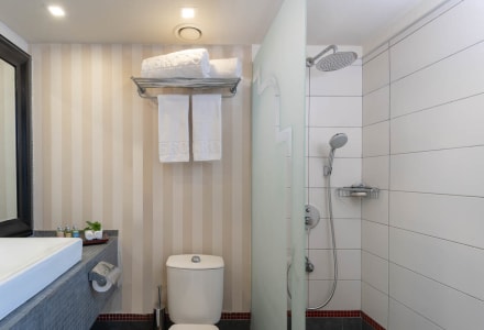 סוויטת דלקס