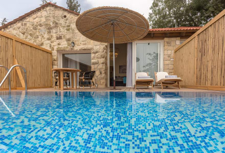 סוויטת ג'וניור עם בריכה פרטית ונוף לגינה