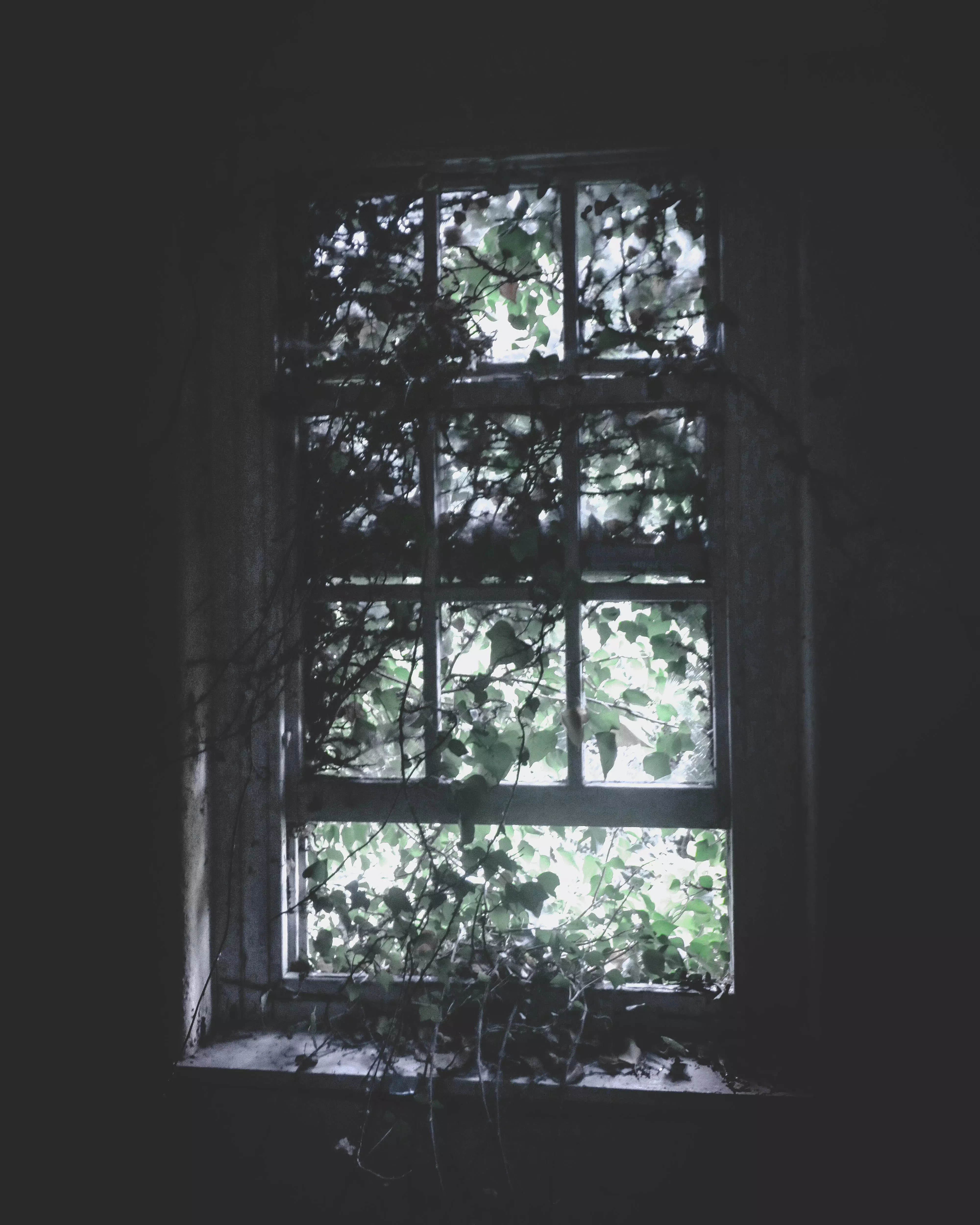 window