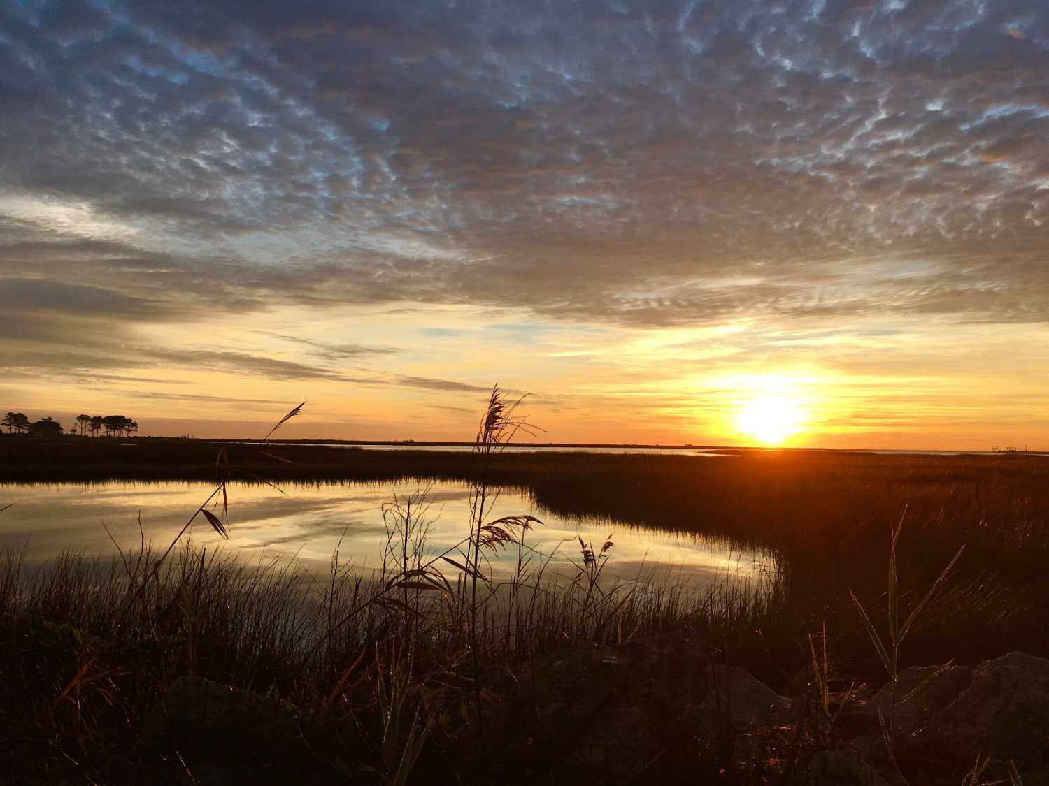 Golden sunrise over the water and residential coastal areas in Chesapeake, Virginia