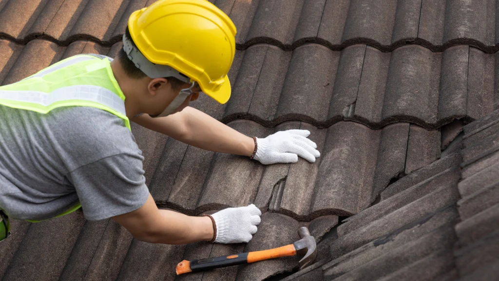roof