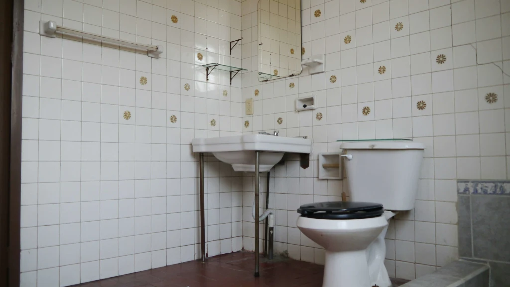 toilet septic