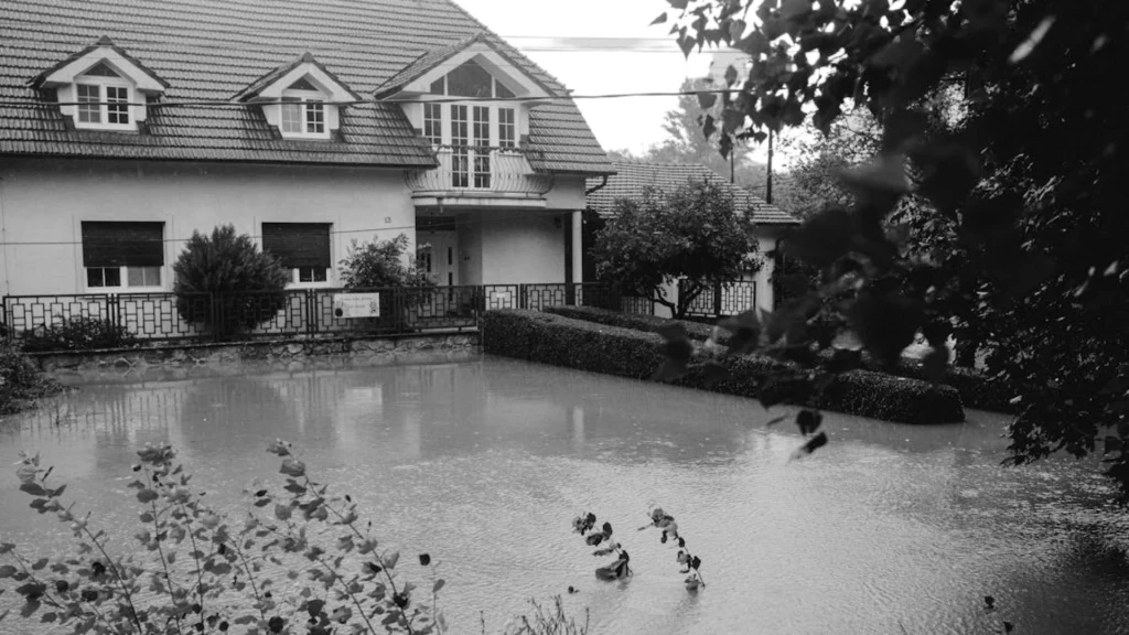 flood