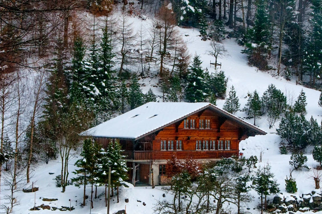 chalet in the forest