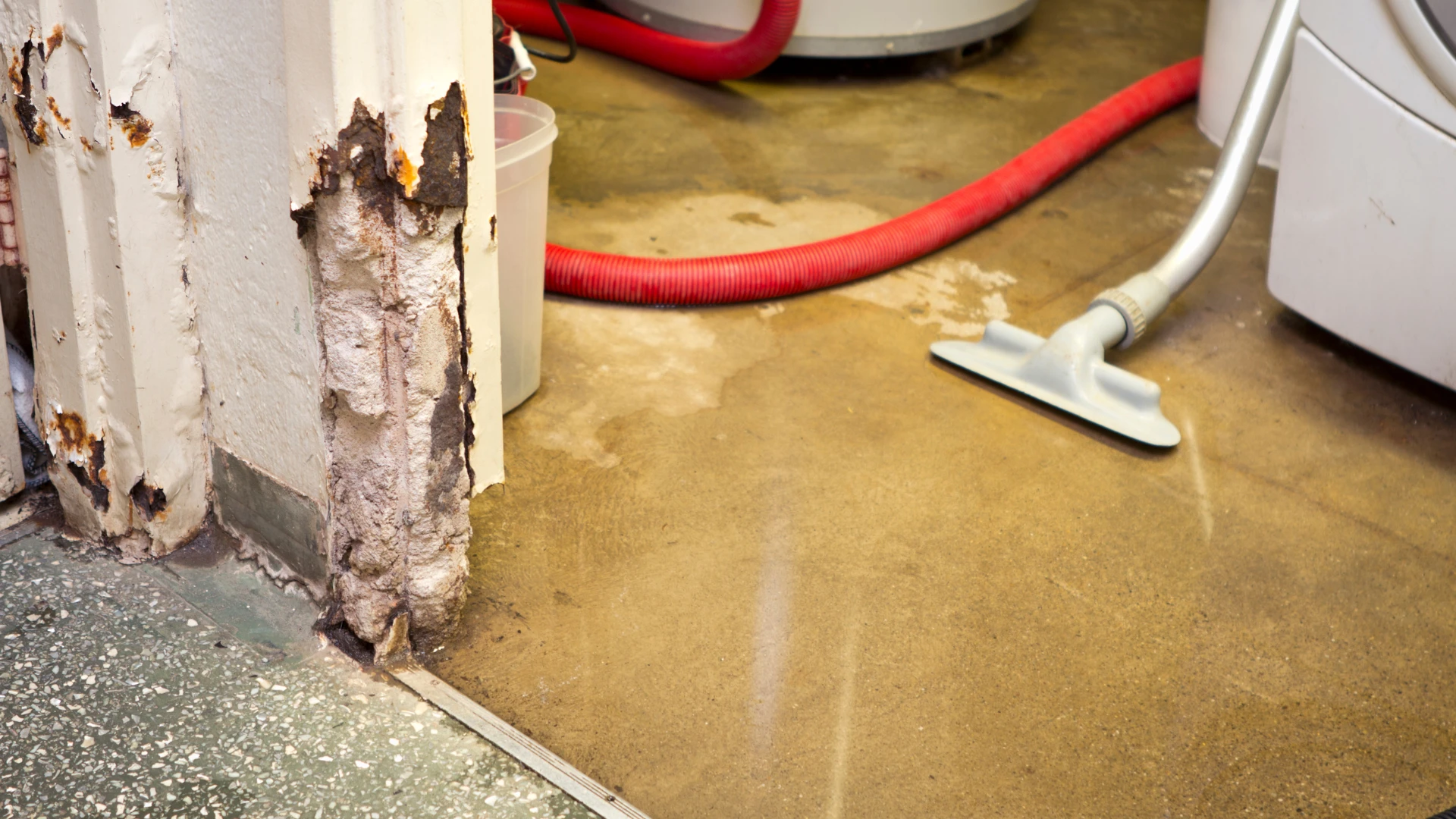 water damage in house for sell