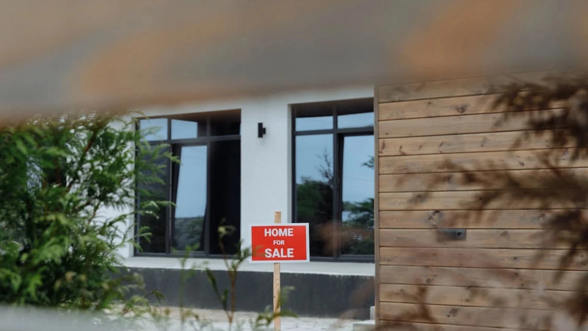 Options for Selling a House With Termite Damage