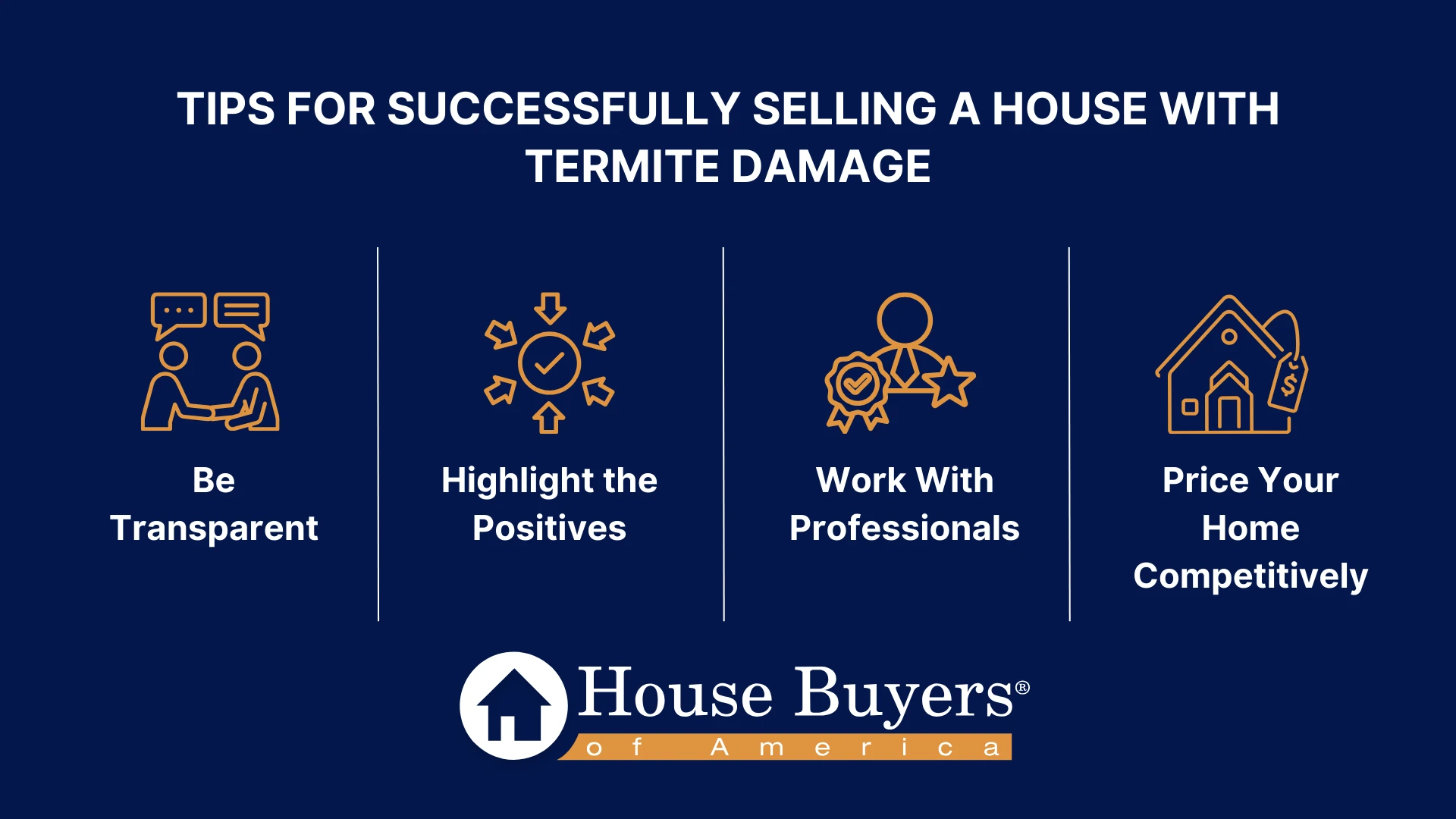 Tips for Successfully Selling a House With Termite Damage