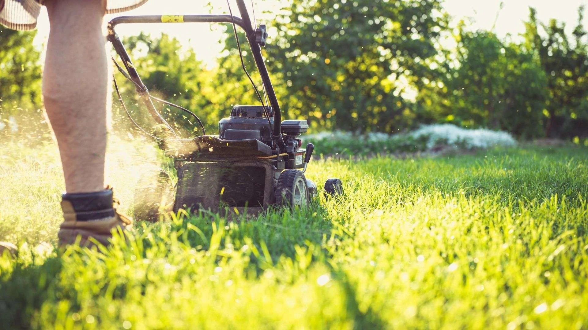 Preparing Your Home for Sale with a Lien