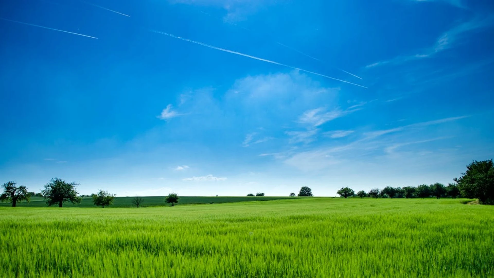 beautiful blue sky with a lot of green land