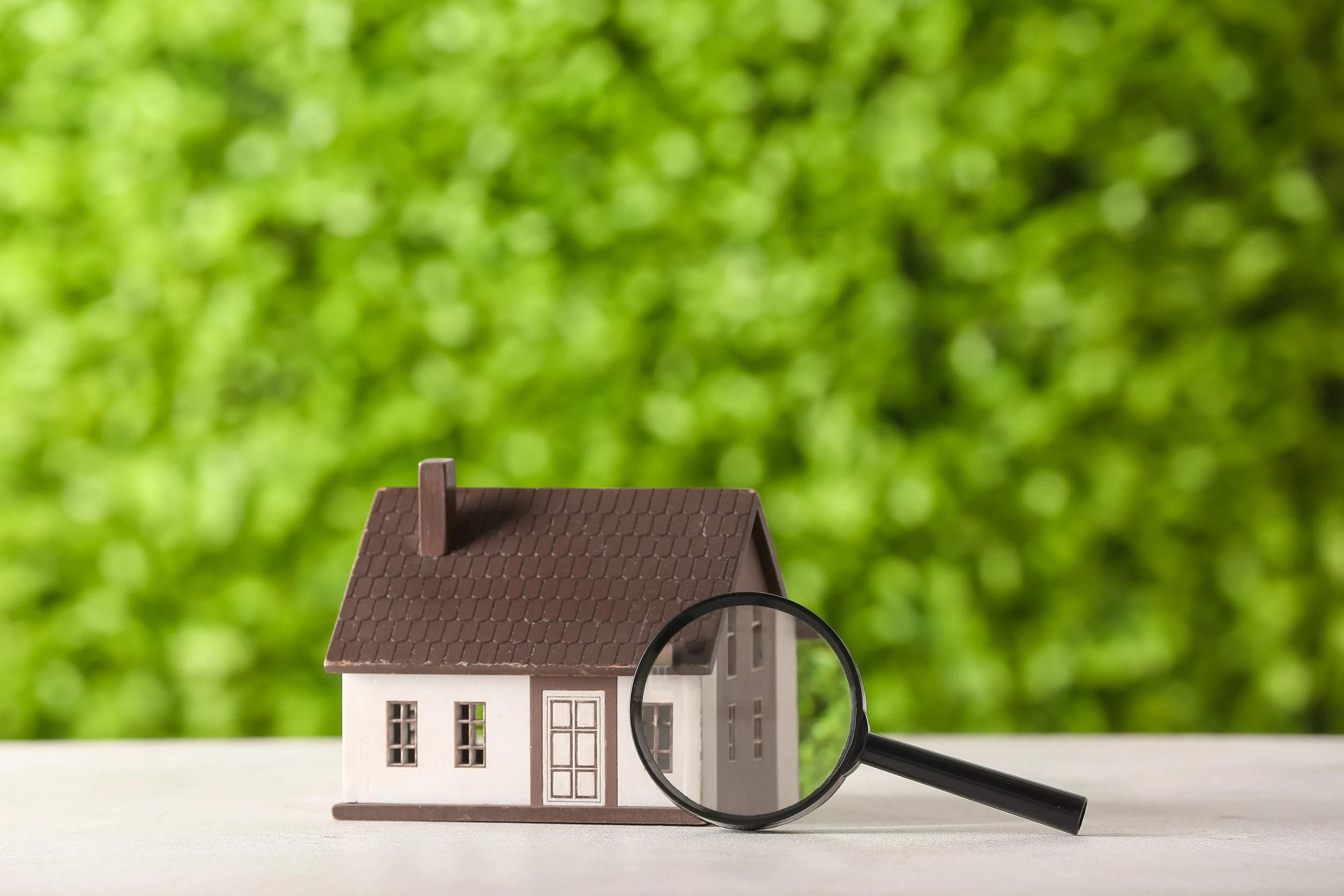 Assess your home's condition