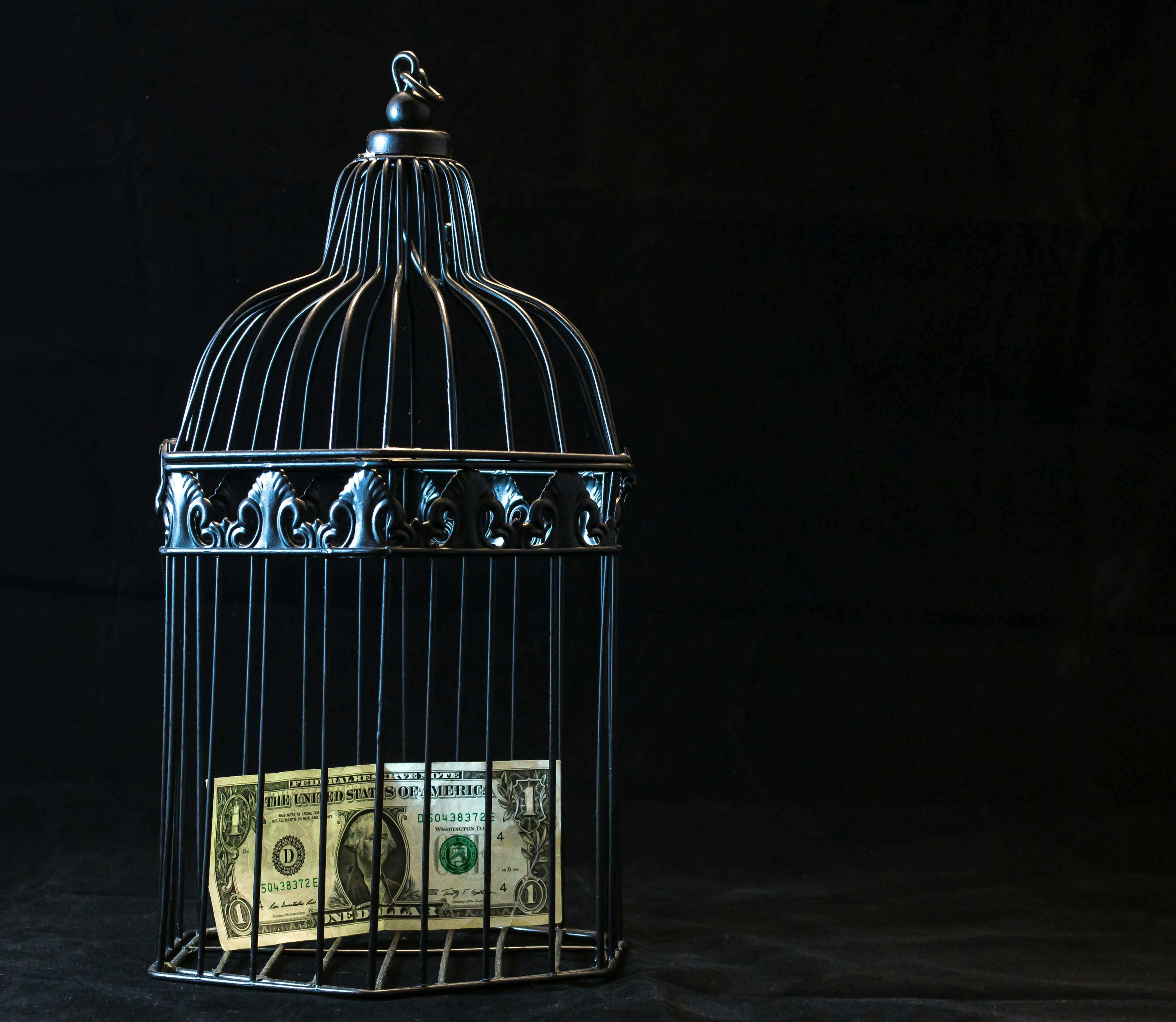 Money in a cage