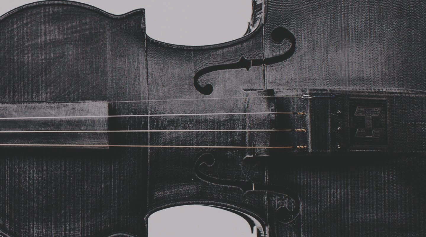 A 3d printed violin