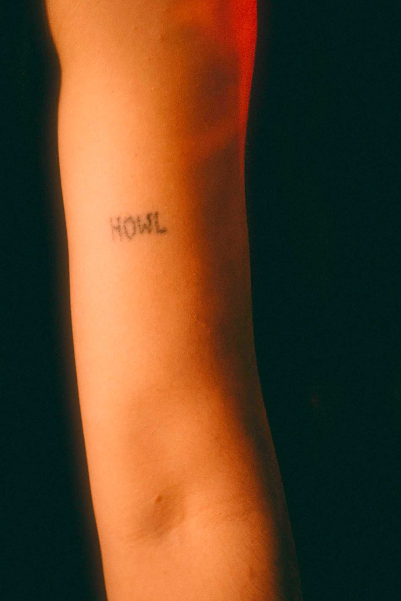 Howl_Rave_7_049_euaegr