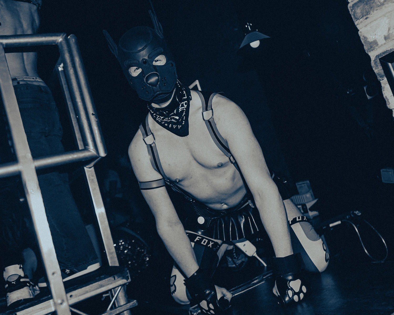 HOWL_LoveBall02_LilyMaguire_ADSC09871_ykdhmn