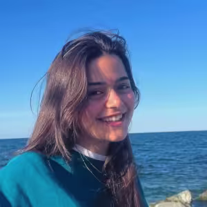 Asmin Erdem