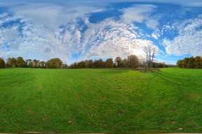 As You Like It FV • You