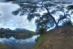the river and memories • You