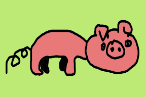 Animais • You