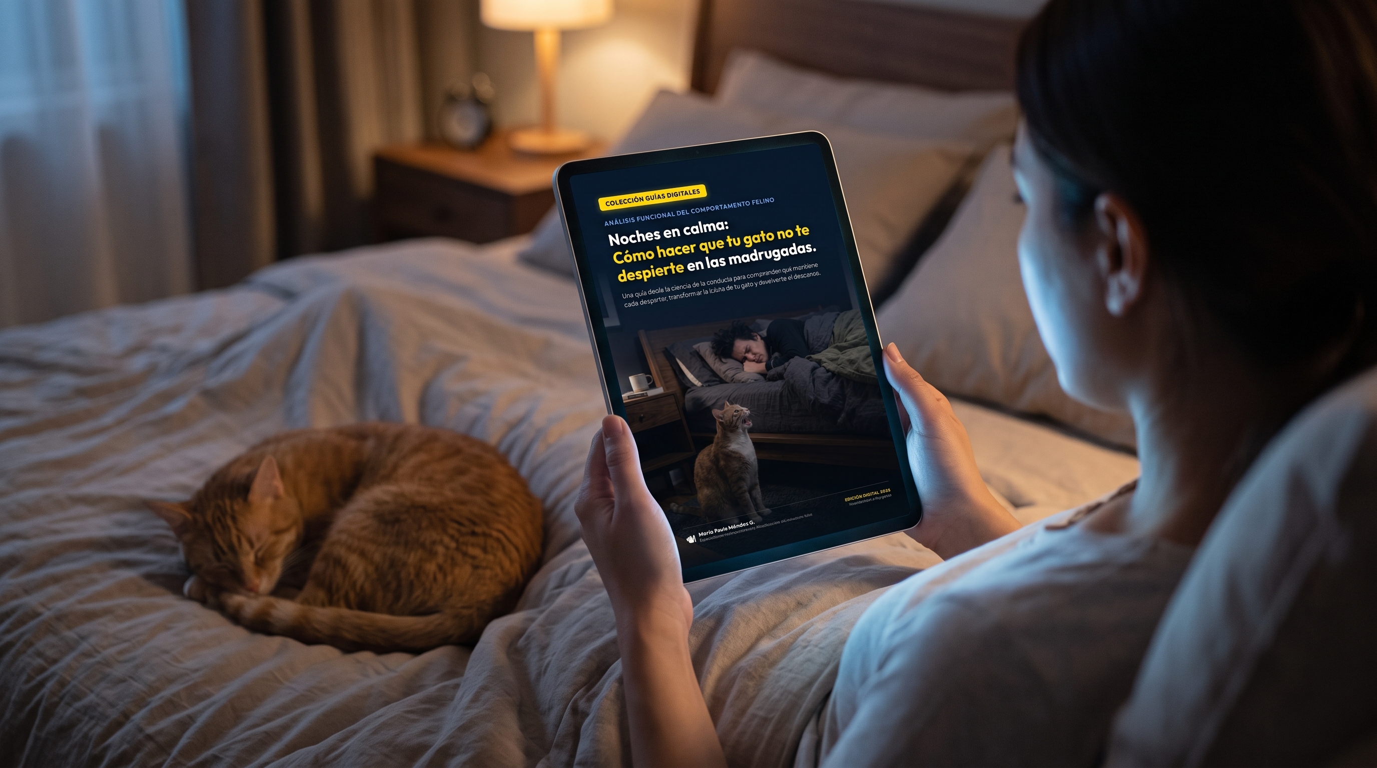 Flipbook interactivo: Noches en calma, cómo hacer que tu gato no te despierte en las madrugadas