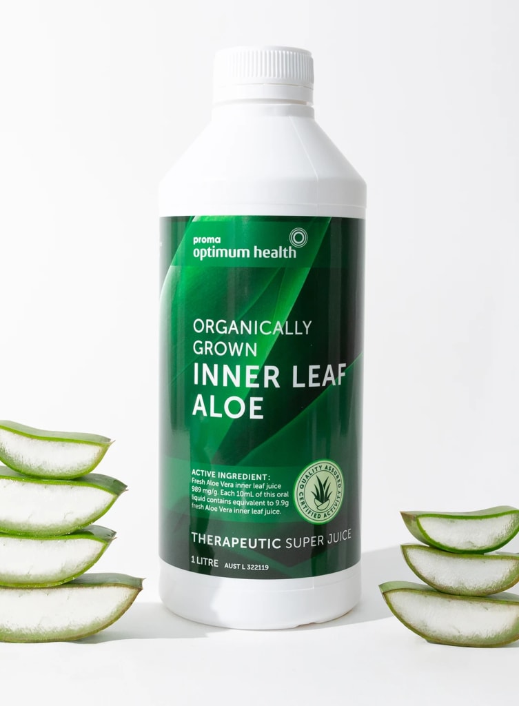 garnier fructis hair mask aloe vera Buy Garnier Fructis Hair Food Hydrating Aloe Vera Mask Online